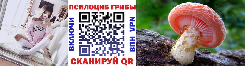 Псилоцибиновые грибы Cubensis  закладки  дарк нет Telegram  Усолье-Сибирское  блэк спрут маркетплейс 